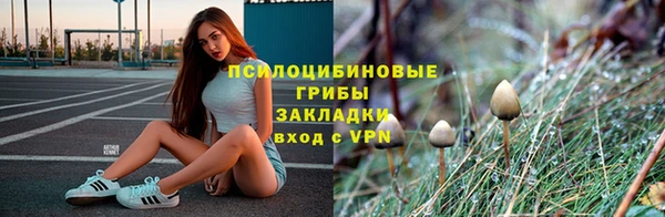 хмурый Верхний Тагил