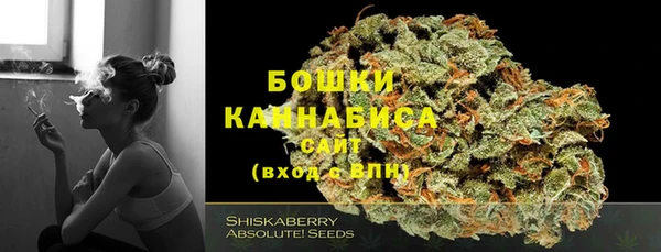 хмурый Верхний Тагил