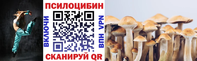 Псилоцибиновые грибы мухоморы закладки KRAKEN зеркало Гвардейск